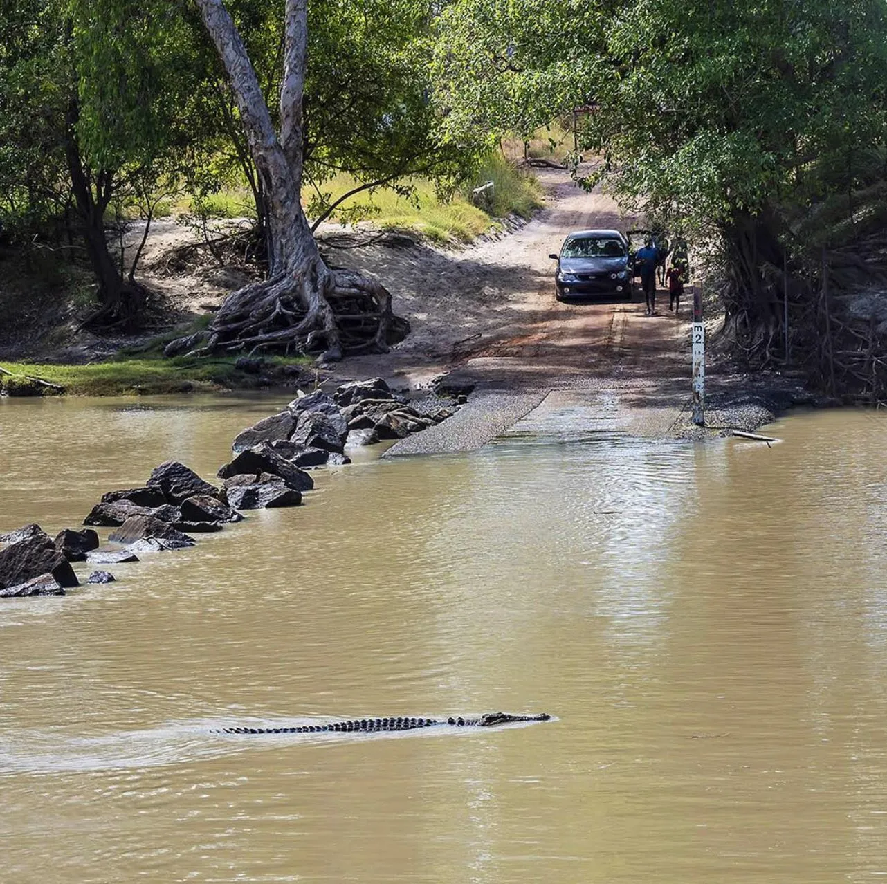 pocketsizetides | Where Do Crocodiles Live in Kakadu?